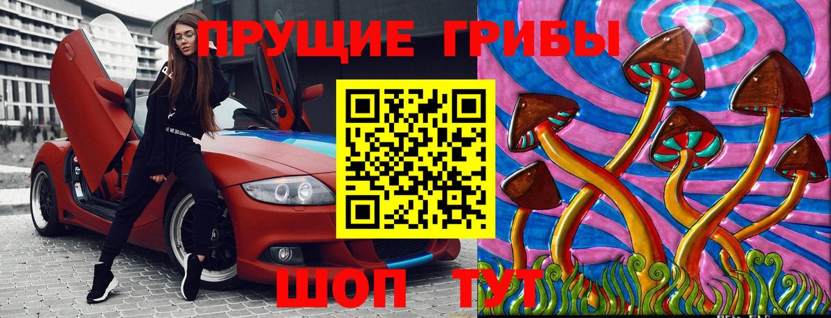 Псилоцибиновые грибы Psilocybe Саки