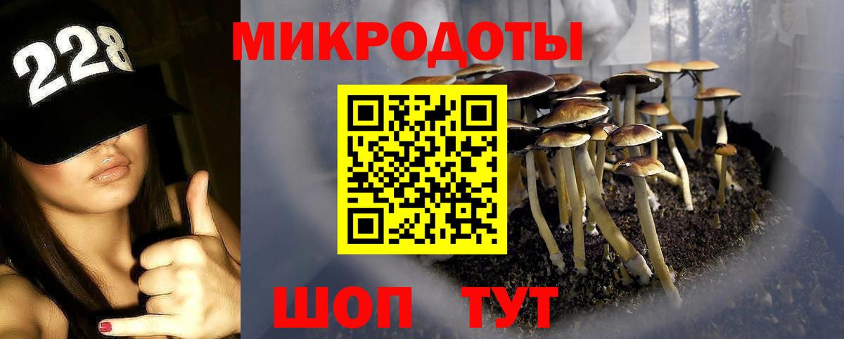 Саки  Галлюциногенные грибы прущие грибы  Вход с VPN 